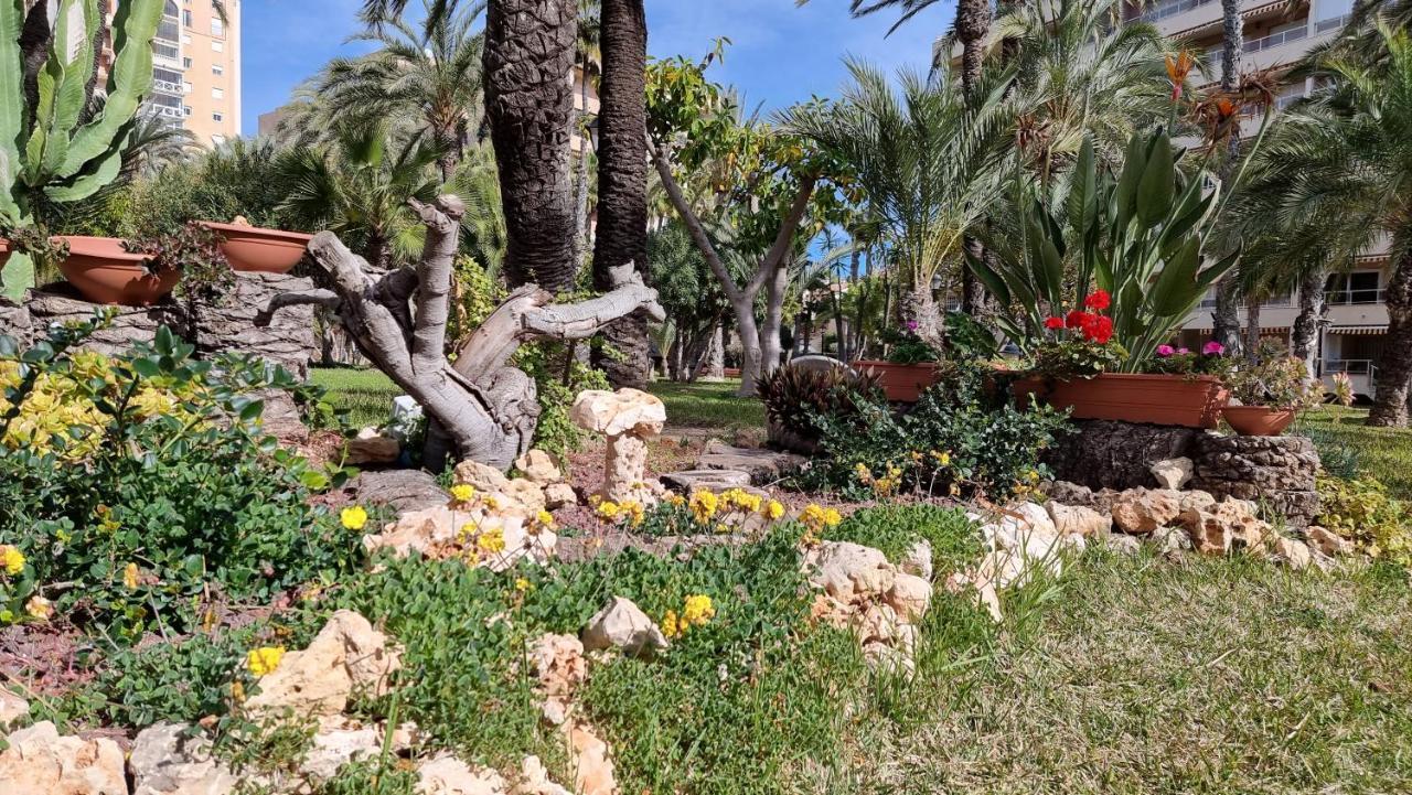 Apartament Palm Beach-El Palmeral Torrevieja Esterno foto